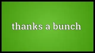 Thanks a bunch Meaning