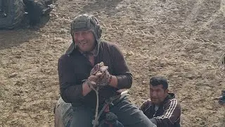 QASHQADARYO VILOYATI KITOB TUMANI MAKRID MFY CHIMBOY QISHLOG'I KATTA KUPKARI BULIB UTDI 30.11.2023