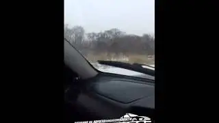 ДТП в Спасске-Дальнем