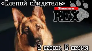 Коммисар  рекс, 2 сезон, 6 серия, «Слепой свидетель»