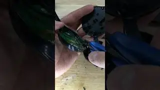 What Is Inside A Wireless Headphones