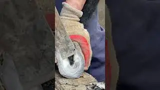 Great hoof trimming video extremely comfortable丨ASMR丨Donkey hoof cutting sound