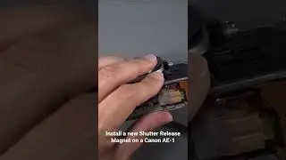 Install a new Shutter Release Magnet on a Canon AE-1