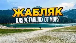 Why Žabljak Became the BEST Summer Vacation Spot in Montenegro