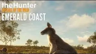 Emerald Coast Australia theHunter: Call of the Wild