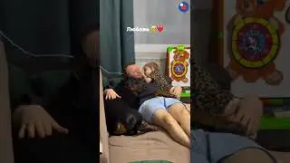 Чувство, когда от любви хочется укусить, называется гиджил ❤️