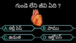 interesting questions in telugu / quize program in telugu / gk questions/ telugu questions 2022 /#gk