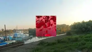 Видуха