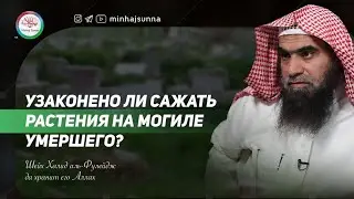 Помогают ли растения на могиле умершему? — Шейх Халид аль-Фулейдж