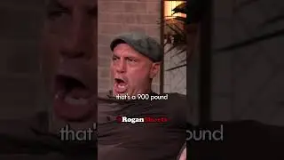 Joe Rogan is SCARED of Grizzly Bears