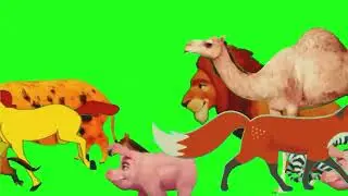 Animal crossover Stampede Green Screen ​⁠ #greenscreen #animal #stampede
