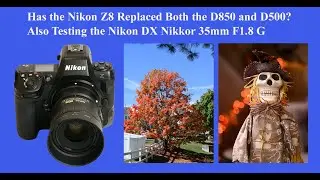 Has the Nikon Z8 Replaced Both the D850 and D500? Also Testing theNikon DX Nikkor 35mm 1.8G