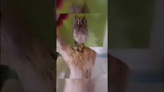 Это ваше?😀