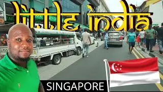 A Day in Little India: Walking Tour & Authentic Lunch Experience #travelvlogging #travelsingapore