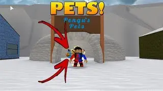 Roblox - PETS NO SNOW SHOVELING SIMULATOR❄️! + CODIGO (Nova Atualização!)