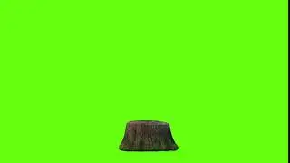 Green Screen Dry Wood 9 Video Animation