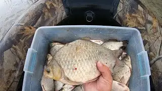 КАРАСИ ГИГАНТЫ. РЫБАЛКА НА КАСТИНГОВУЮ СЕТЬ С ЛОДКИ.