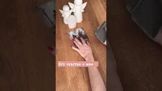 Его чувства к вам