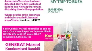 Black legs Comments oh How to destroy #Amba // #Anglophones need good Quality of #Amba atrocities