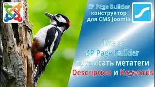 How to set meta tags description and keywords for a joomshaper template page in SP Page Builder