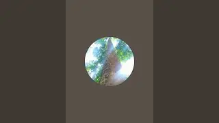 Nature Enthusiast is live!
