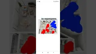 прятки