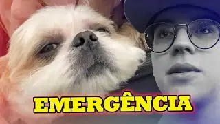 MEU CACHORRO TEVE QUE IR NO HOSPITAL!!!  O QUE ACONTECEU?