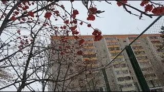 Костанай микрорайон 8 дома 11 и 12