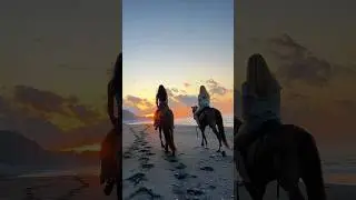 Конные прогулки на Бали. Район Чанди Даса