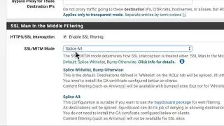 Getting Proxy Logs from pfSense with SSL interception