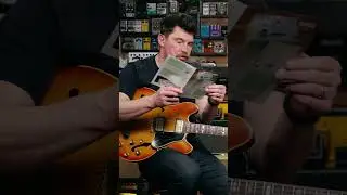 Your Dog Can Bark Through Your Reverb Pedal #shorts  #guitar