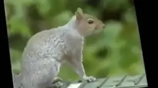 Funny Vines Try Not To Laugh or Grin While Watching This