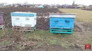 Зимовка пчел 16.02.2019.