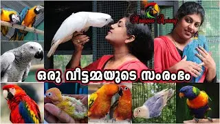 | പക്ഷി വളർത്തലിലൂടെ വീട്ടിലിരുന്നു വിജയം കൈവരിച്ച ഒരു സംരംഭക | Manjoos Aviary Exotic Birds Farm |