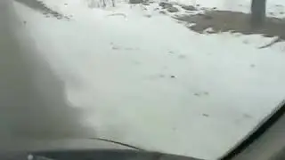 Быстрый кыргызкий тайган