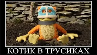 Муд Барашек Шон Демотиватор (Прятки)