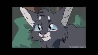 Коты Воители - Щербатая.(Yellowfang) - Заказ с канала В гостях у BlueBerries