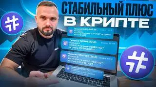Мой опыт заработка с Hash7 – полный разбор и настройка бота