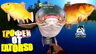 Русская рыбалка 4. 🎣 оз. Медвежье 🐡🐳🐡💦 ТРОФЕИ от LATORSO 👀