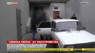 Сына олигарха Сосина выводят из депрессии мультфильмом «Свинка Пеппа»