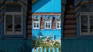 Великолепная изба с резными наличниками в деревне 