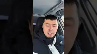 Tushda it ko’rsa nima bo’ladi Тушда кучук тишласа Нималарга ишора Тез кўринг 