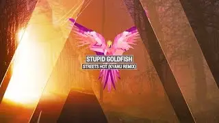 STUPID GOLDFISH - Streets Hot (KYANU Remix)