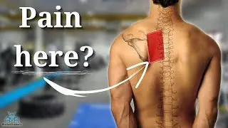 Fix Rhomboid Pain!