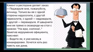 ОВСЯНКА утром заряжает ЭНЕРГИЕЙ и  Н*Е*Н*А*В*И*С*Т*Ь*Ю на весь день. Юмор для Вас.
