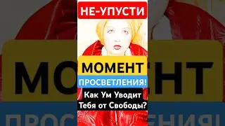 Как Не Упустить "МОМЕНТ-ПРОСВЕТЛЕНИЯ"в ЭТОЙ Жизни? #shorts #осознанность #медитация #духовность #сон