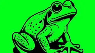 Frogs