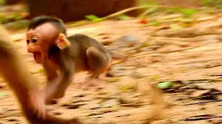 Baby Rex cries by feel nervous when mom walks out. Sweet mom Rose back to comfort Rex suddenly.