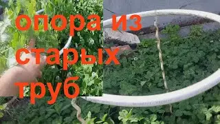 Опора для голубики