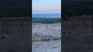 Новороссийск ❤️